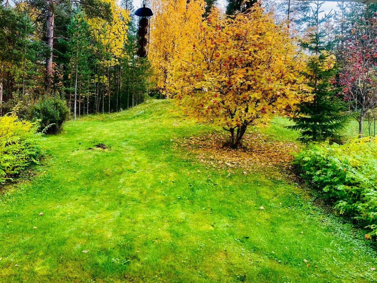 Holiday Home, Entire Home Rovaniemi Ngoại thất bức ảnh